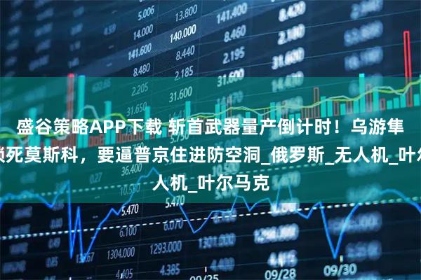 盛谷策略APP下载 斩首武器量产倒计时！乌游隼导弹锁死莫斯科，要逼普京住进防空洞_俄罗斯_无人机_叶尔马克