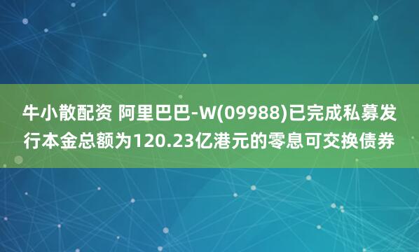牛小散配资 阿里巴巴-W(09988)已完成私募发行本金总额为120.23亿港元的零息可交换债券