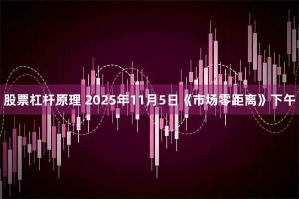 股票杠杆原理 2025年11月5日《市场零距离》下午