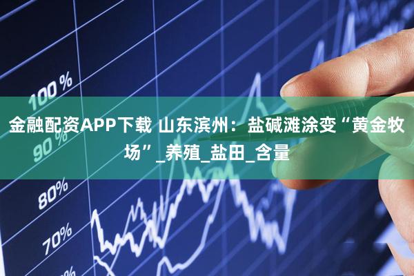 金融配资APP下载 山东滨州：盐碱滩涂变“黄金牧场”_养殖_盐田_含量