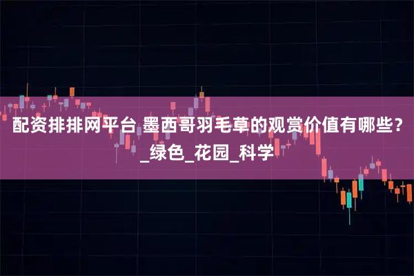 配资排排网平台 墨西哥羽毛草的观赏价值有哪些？_绿色_花园_科学