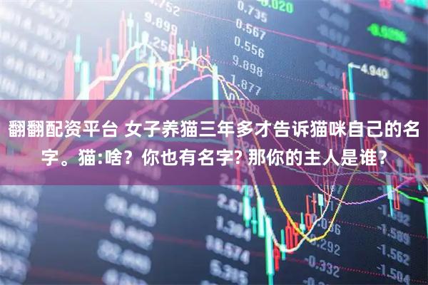 翻翻配资平台 女子养猫三年多才告诉猫咪自己的名字。猫:啥？你也有名字? 那你的主人是谁？