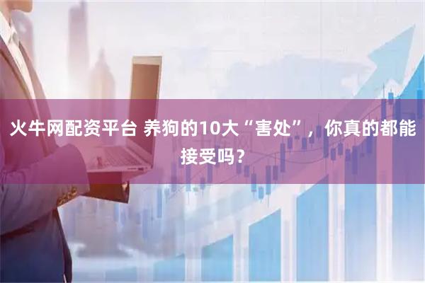火牛网配资平台 养狗的10大“害处”，你真的都能接受吗？