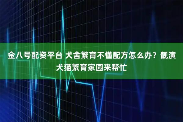 金八号配资平台 犬舍繁育不懂配方怎么办？靓演犬猫繁育家园来帮忙