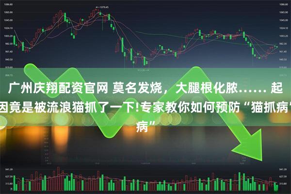 广州庆翔配资官网 莫名发烧，大腿根化脓…… 起因竟是被流浪猫抓了一下!专家教你如何预防“猫抓病”